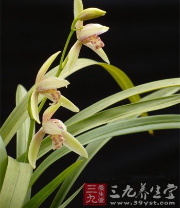 立秋时节话养生