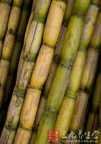 甘蔗营养价值高补血防病