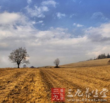 立秋节气里的关键词