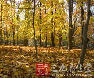 立秋节气里的关键词