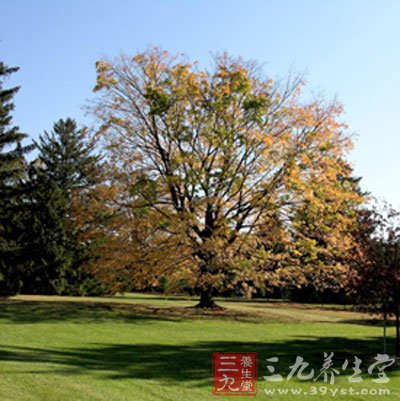 立秋节气里的关键词