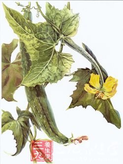 实用祛斑法 汤汤水水轻松去斑点