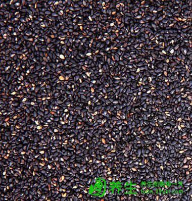 千年磨坊夏季固元膏