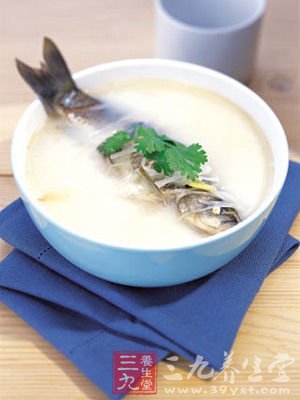 枸杞鲫鱼汤