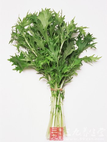 百草之王艾条的养生作用