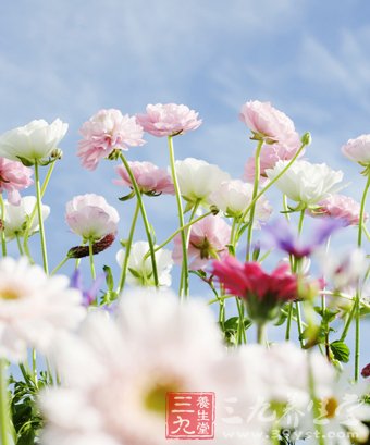 习惯影响寿命 必知九个抗衰老养生小习惯