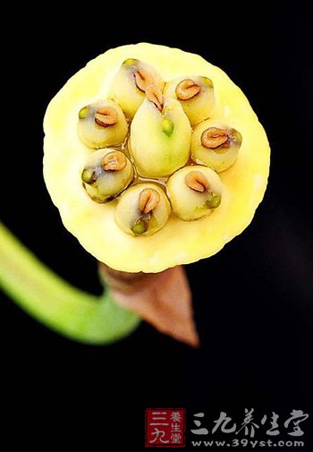 女人多吃莲子黑木耳预防卵巢早衰