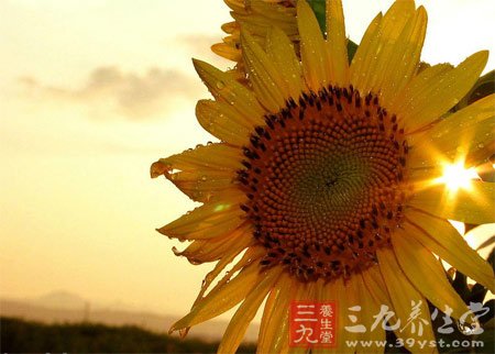 7个小TIPS助你轻松解决秋乏