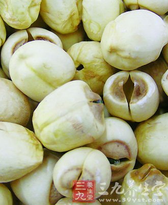 夏季吃莲子养心安眠 5款食谱推荐给你