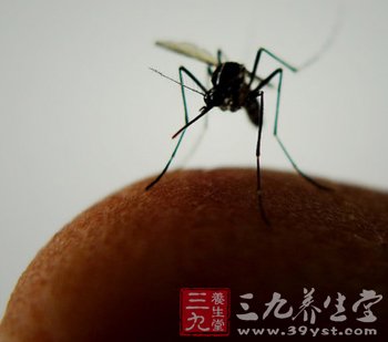 蚊虫叮咬传染能否传播乙肝病毒