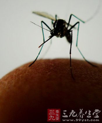 蚊虫叮咬用什么药