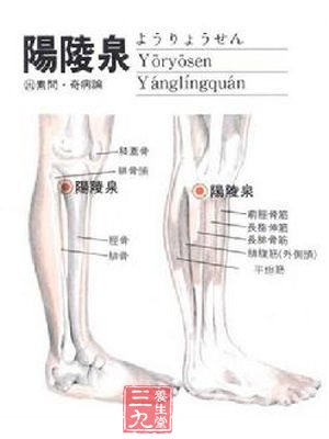 阳陵泉穴治胆绞痛