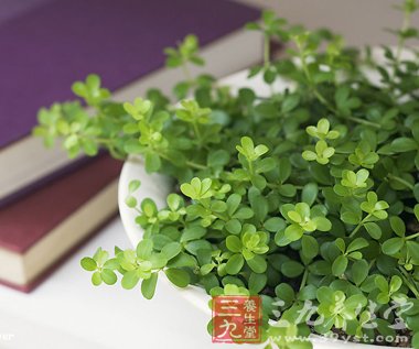 中医告诉你各个年龄段的补肾养生重点