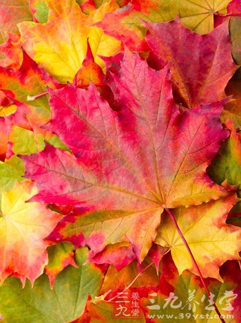 秋季养生指南 处暑养生防秋乏秋燥