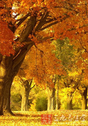 处暑时节白天热早晚凉 夜里睡觉好盖床薄被