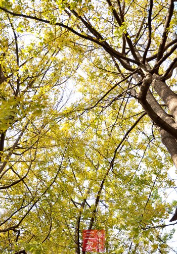 处暑时节白天热早晚凉 夜里睡觉好盖床薄被