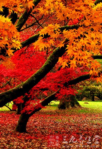 处暑时节白天热早晚凉 夜里睡觉好盖床薄被