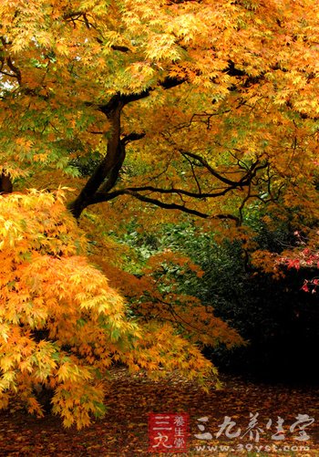 处暑时节白天热早晚凉 夜里睡觉好盖床薄被