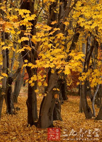 处暑时节宜安静性情早睡早起 三招应对秋乏