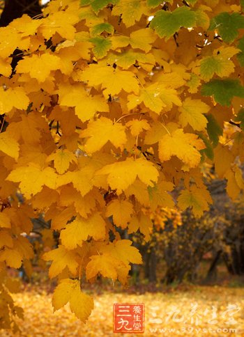 处暑时节宜安静性情早睡早起 三招应对秋乏