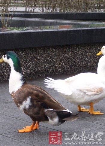 处暑节气的习俗与活动