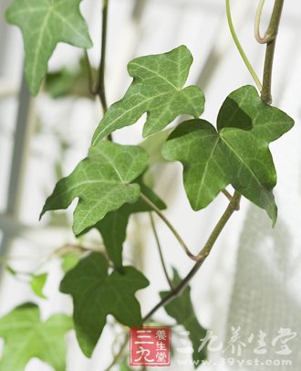 秋季六节气防病指南