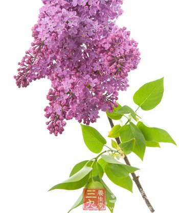 女性更年期要禁口四大物品