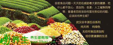 谷豐源五谷杂粮—黑米粉