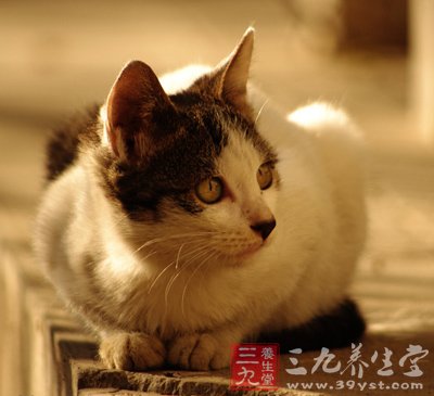 压抑嫉妒心理引发恐怖症