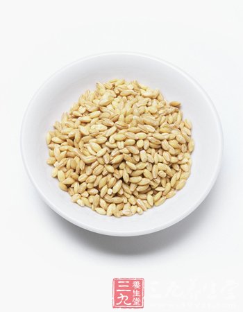 小麦有哪些营养价值