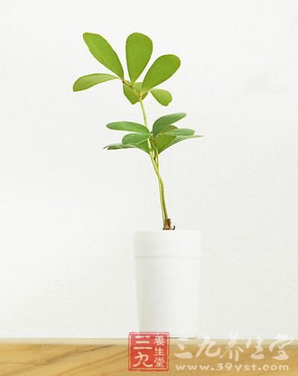 助你缓解压力的五个出气筒