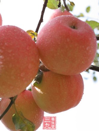 小编揭秘苹果减肥法