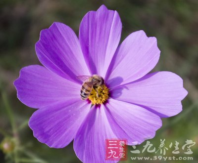 10条养生建议轻松告别亚健康