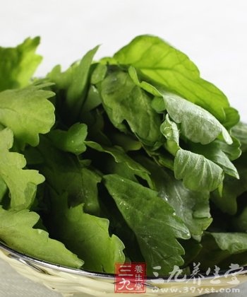 几道减肥凉拌茼蒿小菜