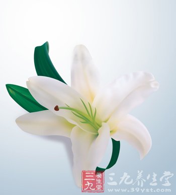 治疗百合病的几种小方