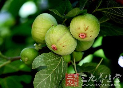 能让女人脸色更美的八款汤