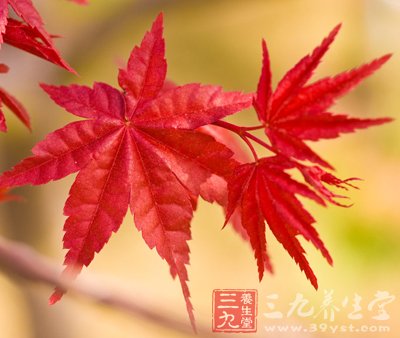 曝 全科医生23个健康私密建议