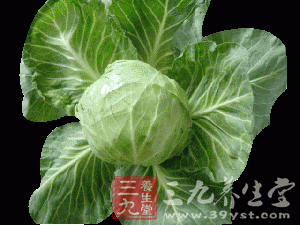 绿色蔬菜的营养价值排行榜