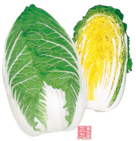 绿色蔬菜的营养价值排行榜