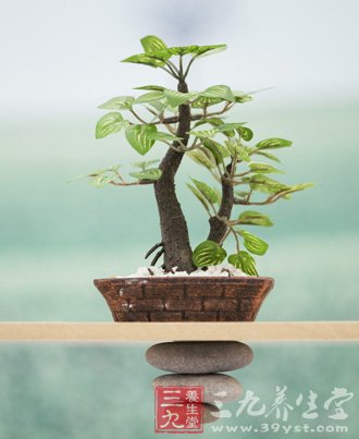 健康养生重视八戒