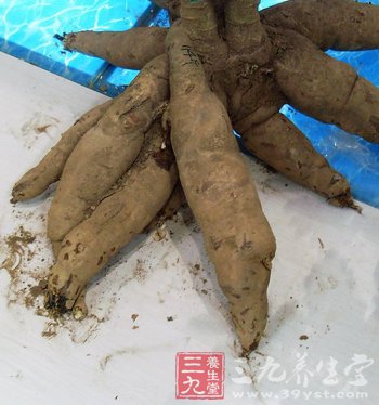 这些蔬菜好吃但有毒 要焯水