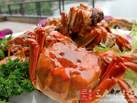 教你如何鉴别大闸蟹
