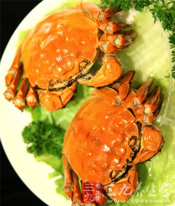 教你如何鉴别大闸蟹