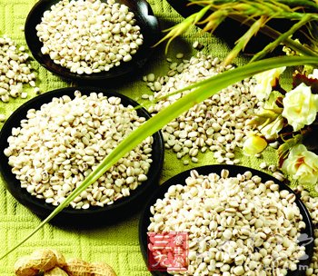 美白肌肤首选薏苡仁