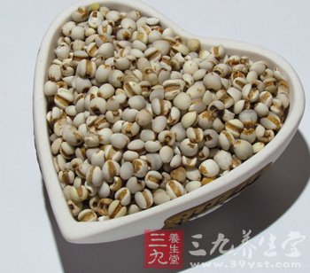 美白肌肤首选薏苡仁