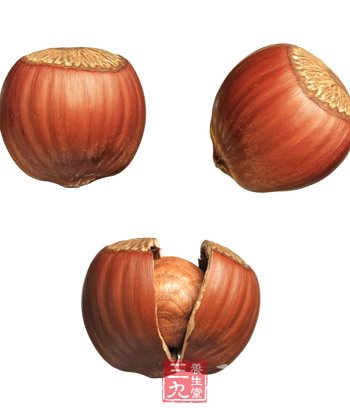 细数榛子的营养价值