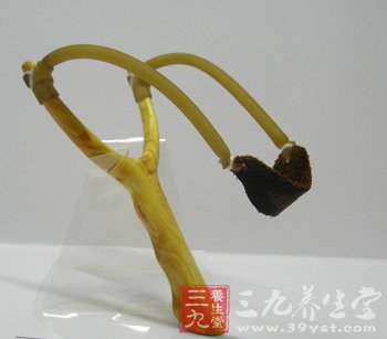 户外健身必备十件装备