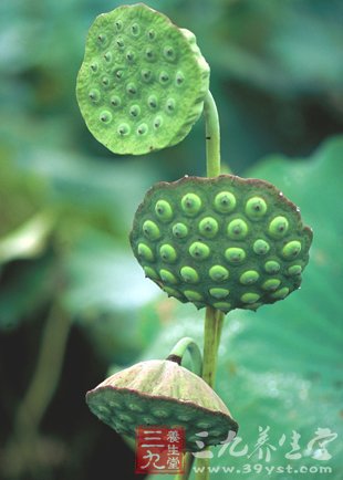 推荐几种特效强身补肾食物