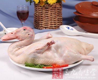 鸭肉的营养价值和食疗功效