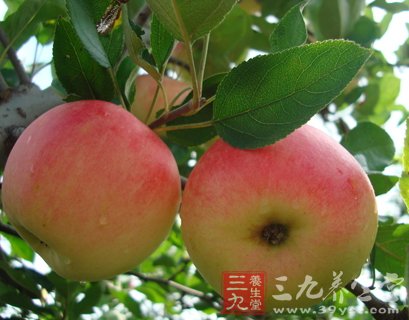 常吃菠菜可让眼睛充满电力